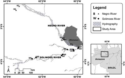 Patterns of Pelagic Fish Diversity in Floodplain Lakes of Whitewater and Blackwater Drainage Systems Within the Central Amazon River Basin of Brazil